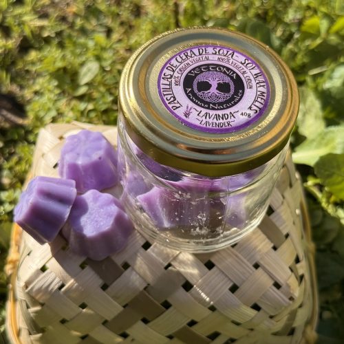 Wax Melts